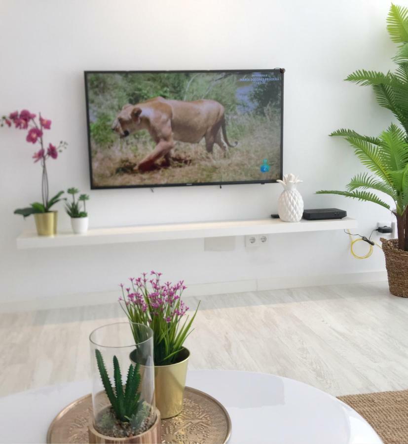 Stunning Spacious City Apartment With Free Parking Málaga Esterno foto